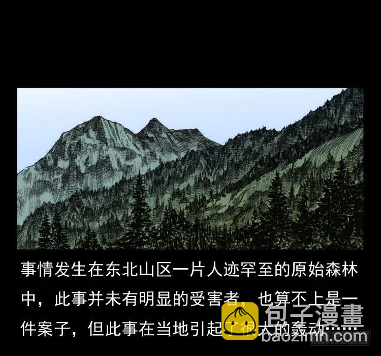 70原始森林中的鬼车（上）(1/2)-第87话