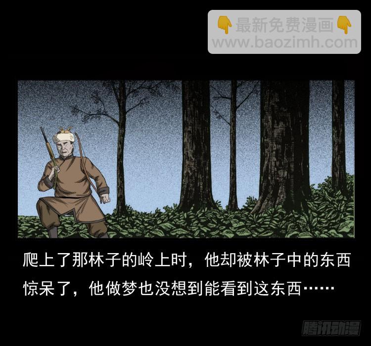 70原始森林中的鬼车（上）(1/2)-第87话