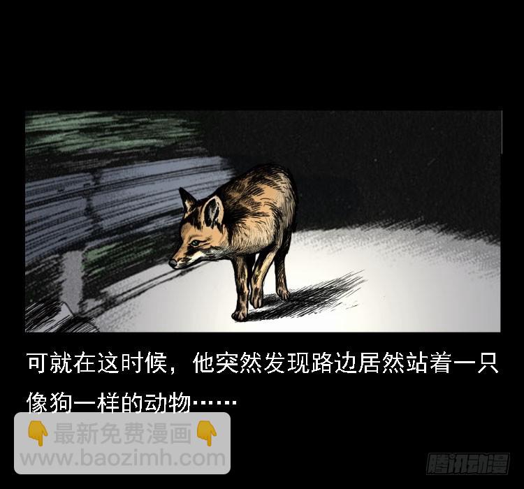 71原始森林中的鬼车（下）(1/2)-第89话