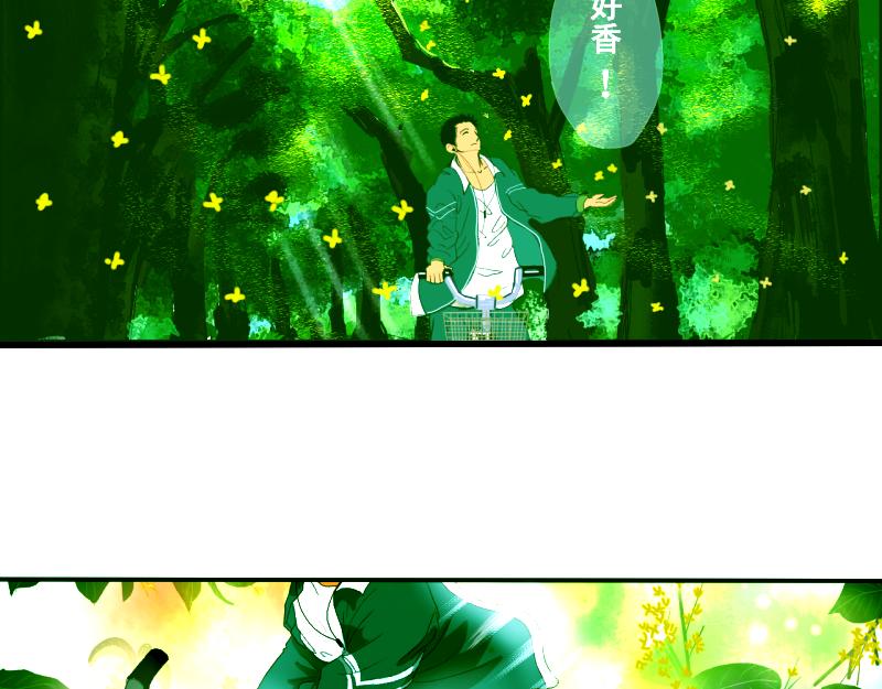 桂花香 - 青上(1/2) - 3