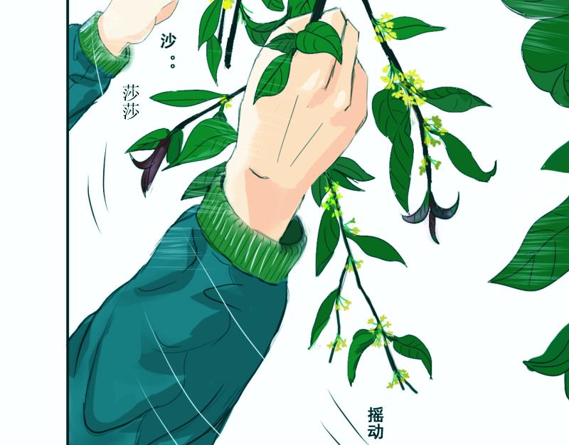 桂花香 - 青上(1/2) - 3