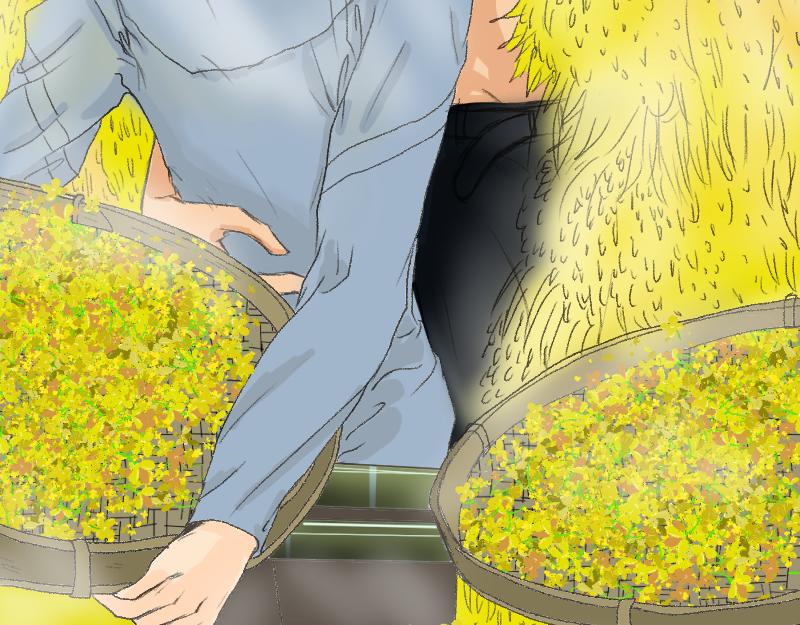 炼田&middot;技巧-第13话