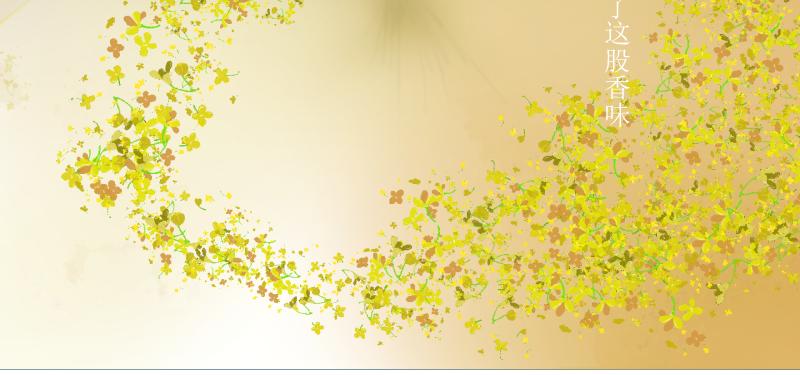 我们的夜(1/2)-第9话