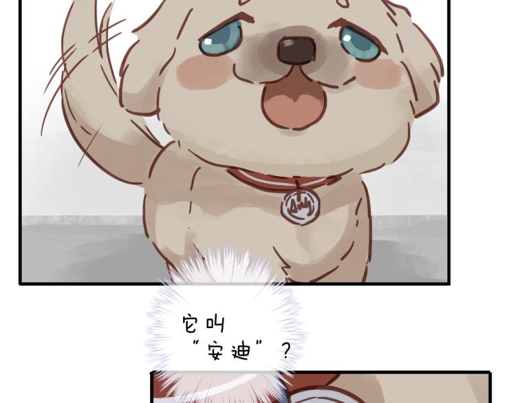 番外 家人(1/2)-第61话