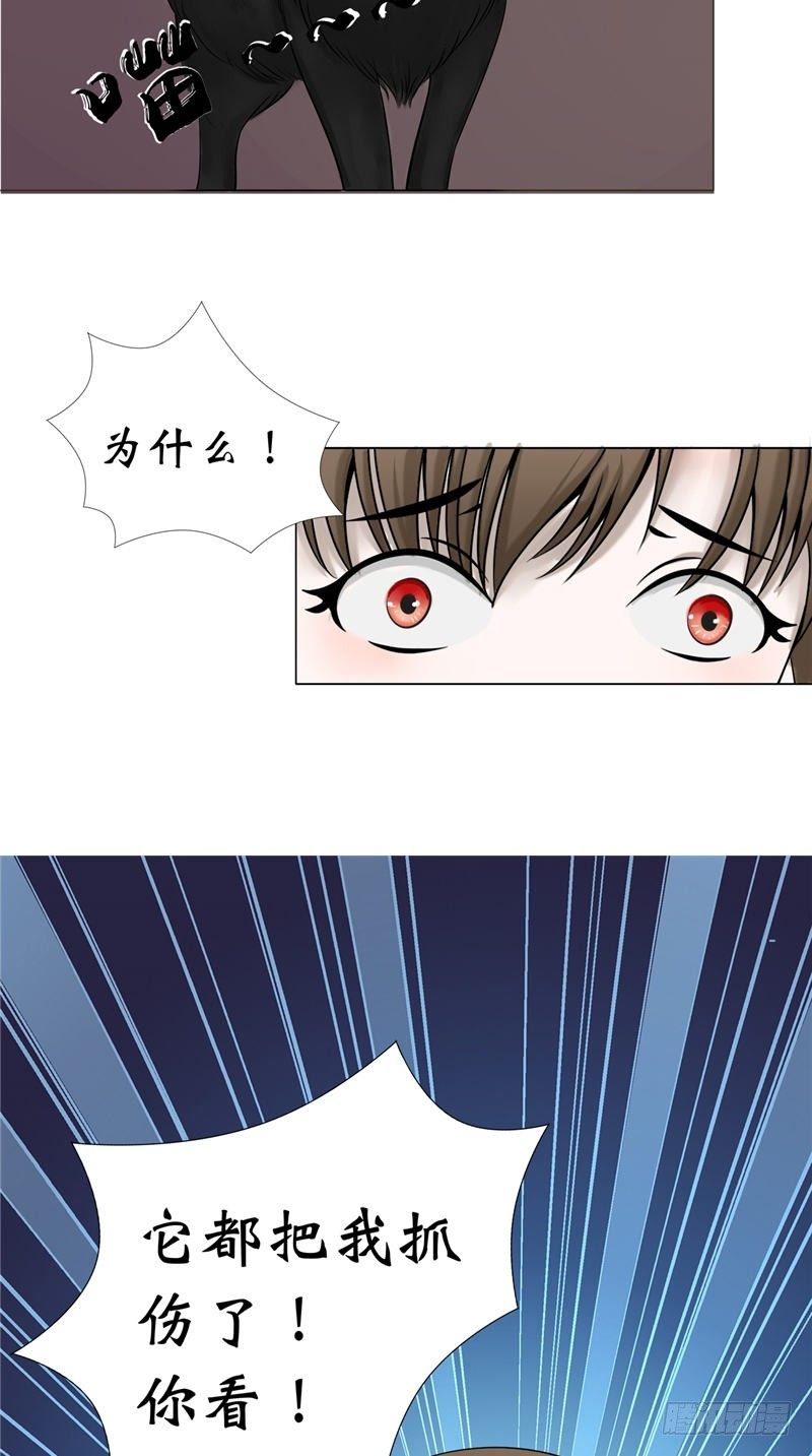 第19话 爸爸回来了-第19话