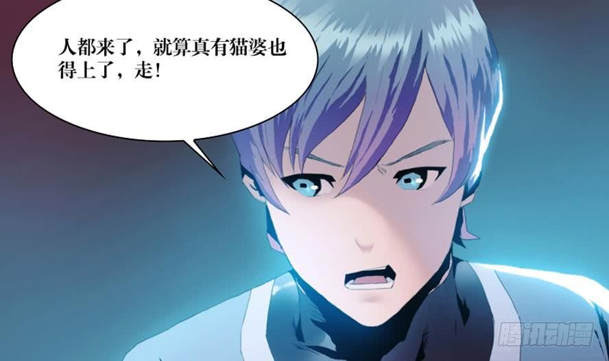 第1话 这里闹猫婆？（一）-第1话