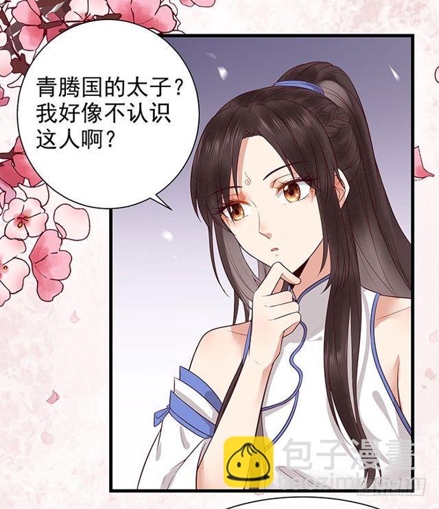 鬼醫鳳九 - 清寧郡主 - 3