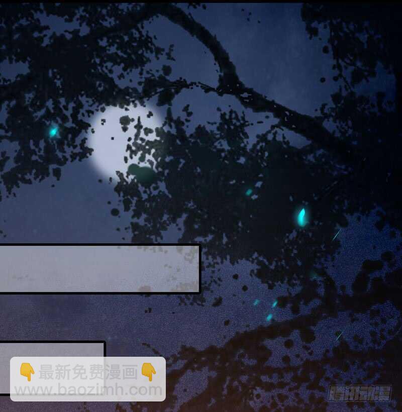 鬼醫鳳九 - 帶了女人回來 - 4