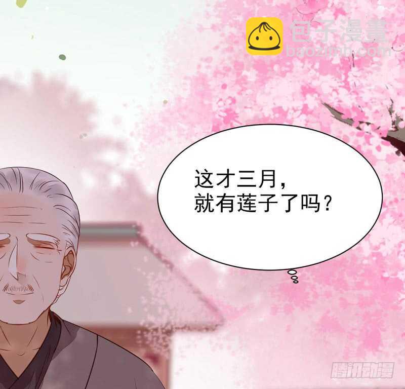 鬼醫鳳九 - 壽元丹成(1/2) - 6