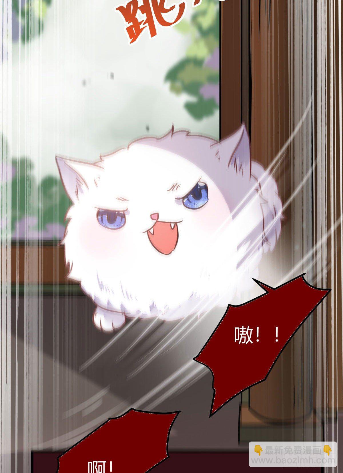 鬼醫鳳九 - 假鳳九(1/2) - 1