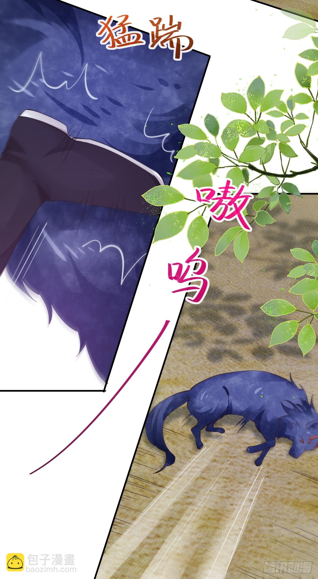 鬼醫鳳九 - 545有貓膩 - 5