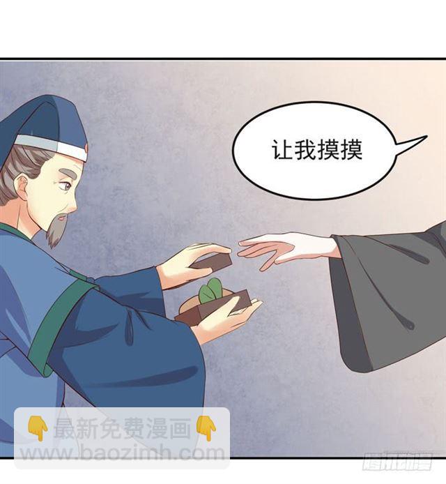 鬼醫鳳九 - 好大一隻“鳥” - 4