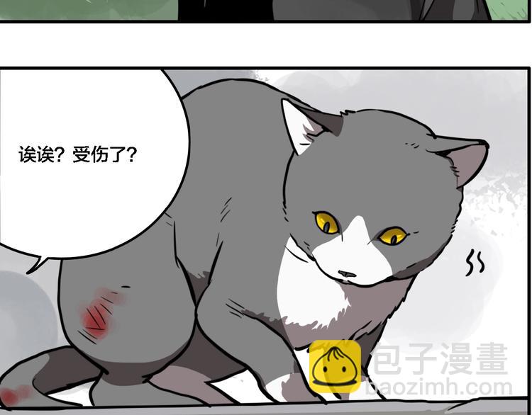 第19话 群猫(1/3)-第21话