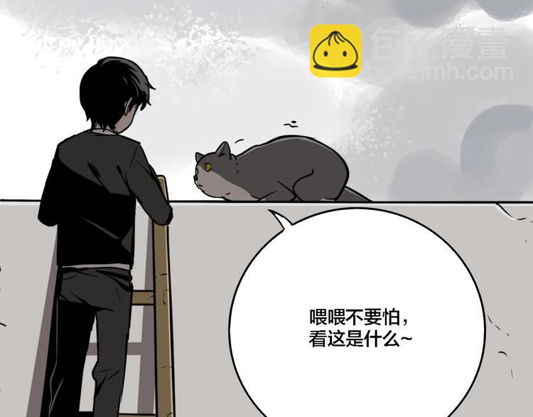 第19话 群猫(1/3)-第21话