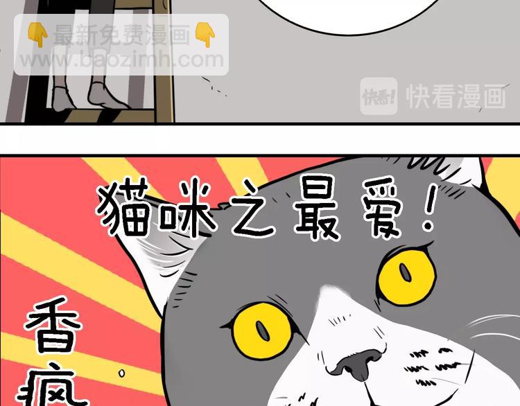 第19话 群猫(1/3)-第21话