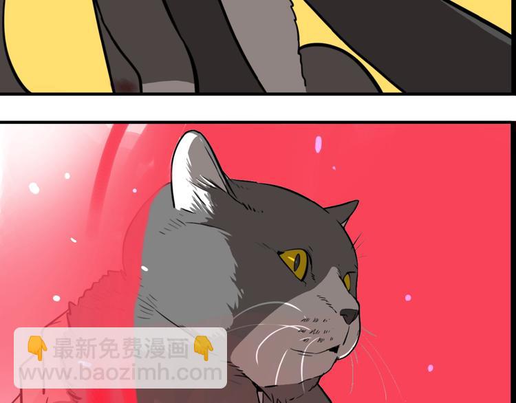 第19话 群猫(1/3)-第21话