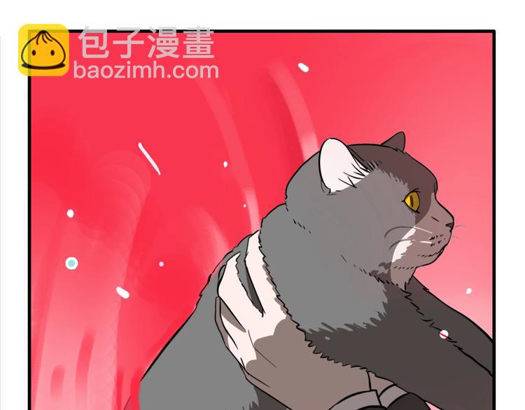 第19话 群猫(1/3)-第21话