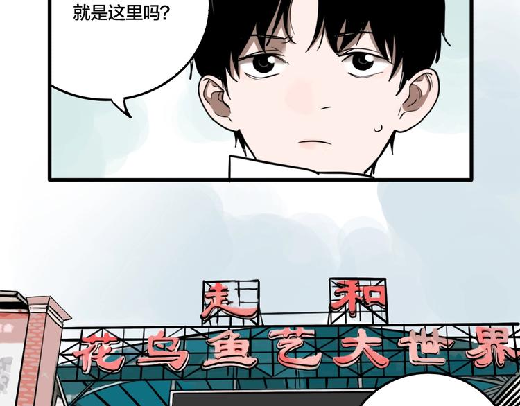 第43话 宠物市场(1/3)-第45话