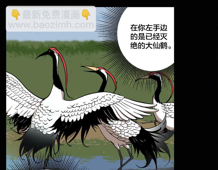 第75话 神仙(1/3)-第79话