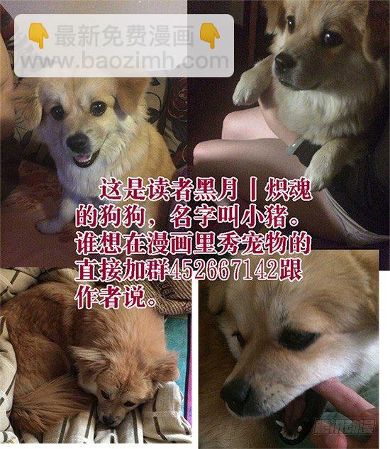 26：鬼与狗-第29话