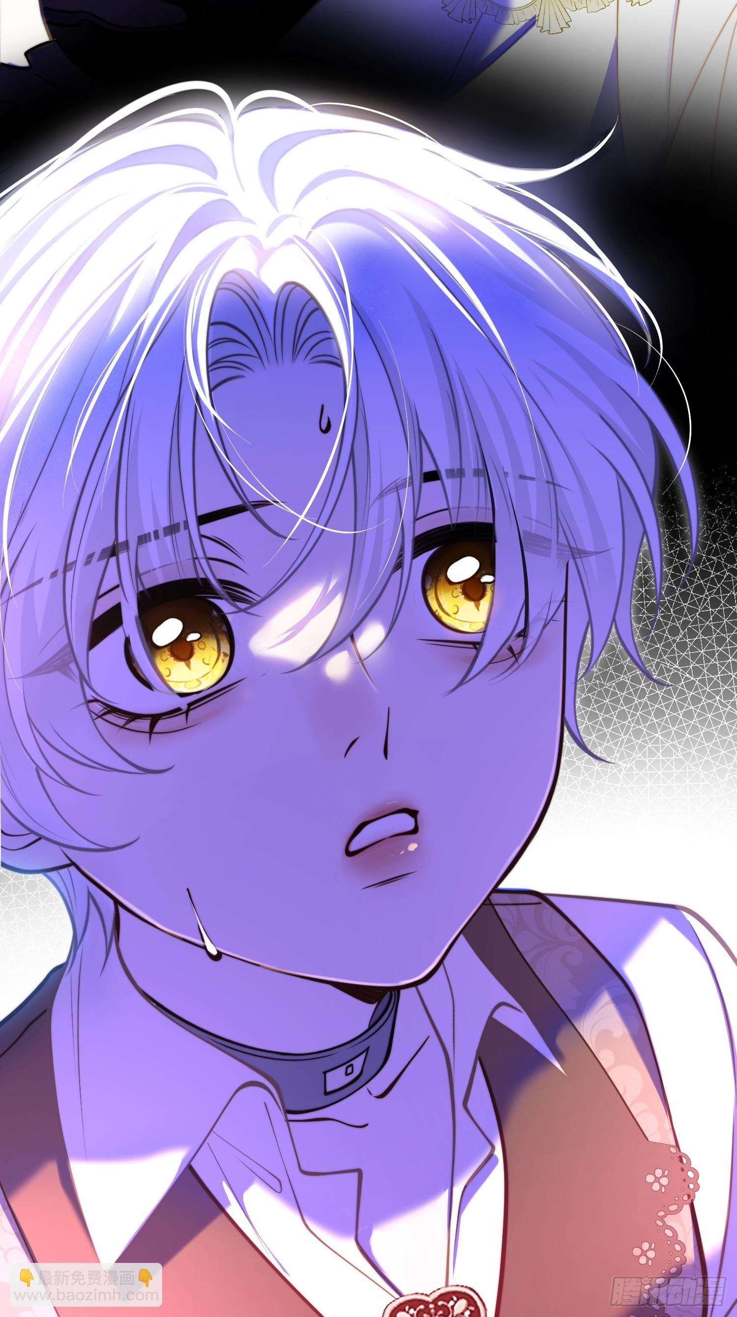 第八十五话 打破循环-第85话