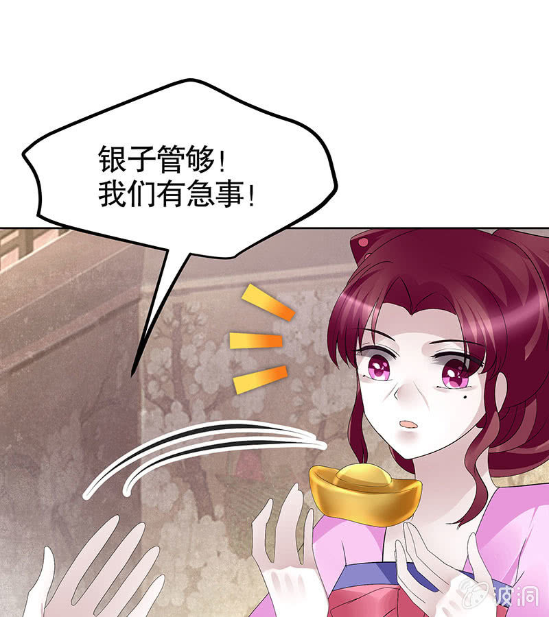 第116话寻仙阁一日游(1/2)-第117话