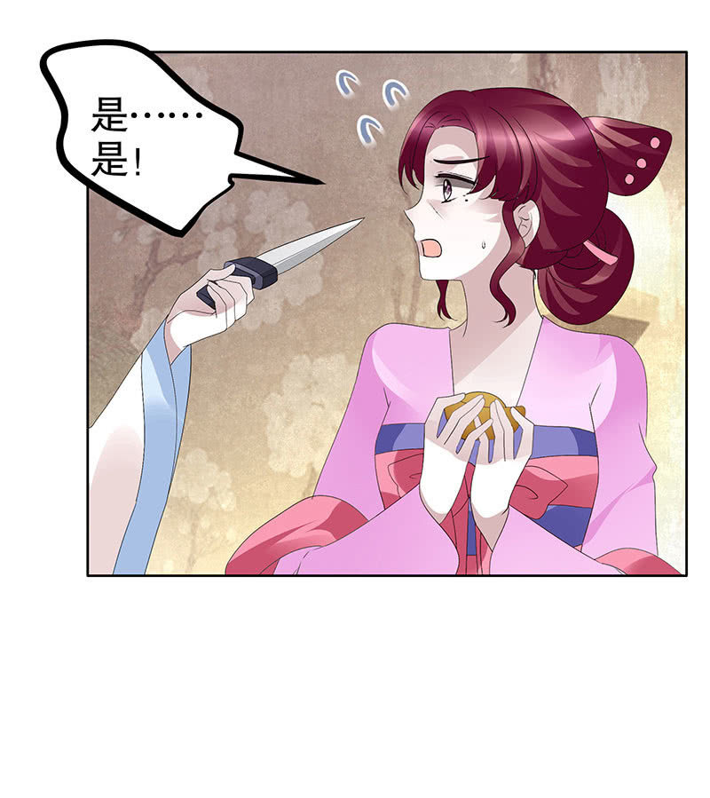 第116话寻仙阁一日游(1/2)-第117话