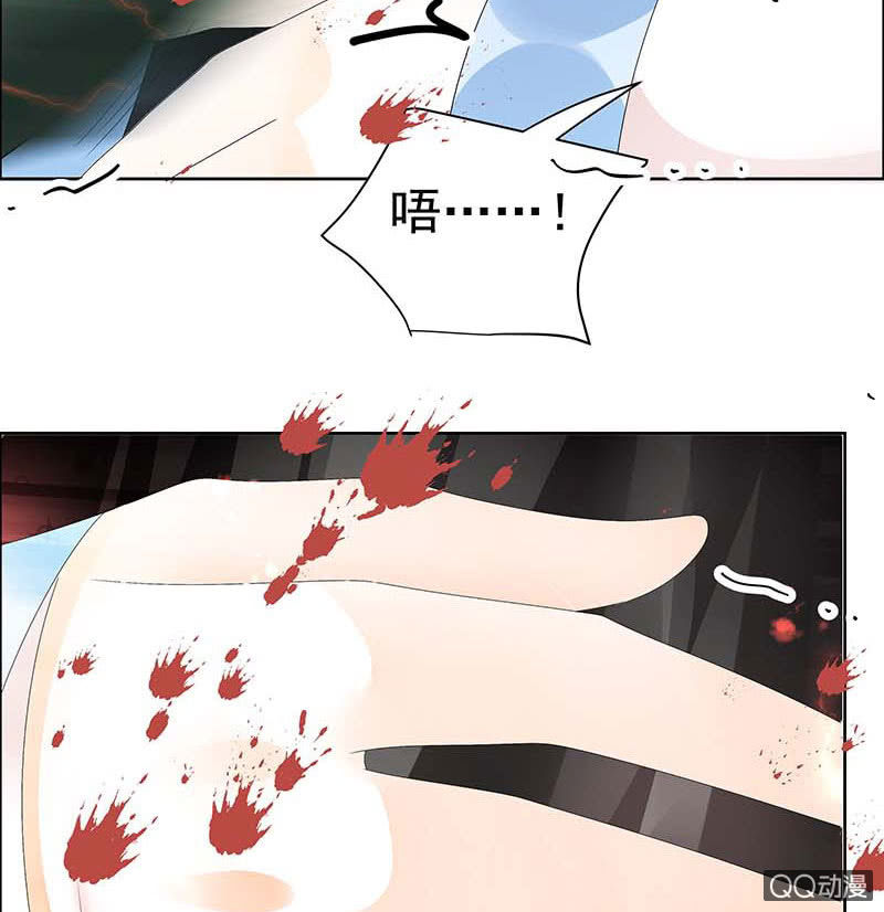 第52话 美女救英雄，流血又如何(1/2)-第53话