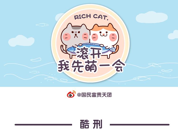 第15话 养猫人才懂的无奈差异-第15话