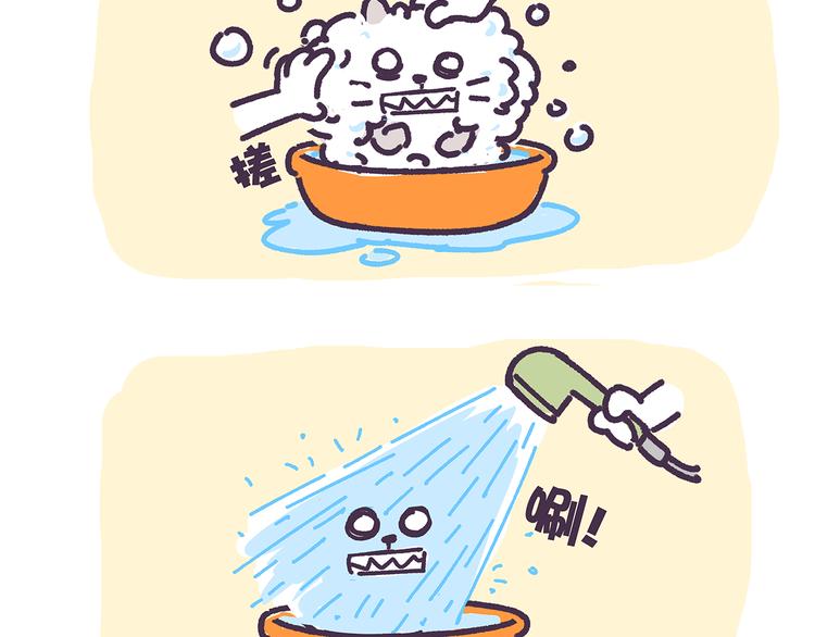 第15话 养猫人才懂的无奈差异-第15话