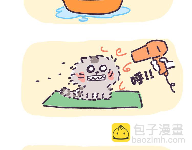 第15话 养猫人才懂的无奈差异-第15话