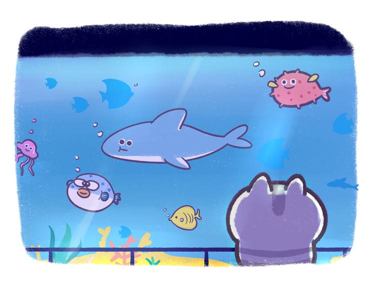 第49话 眼中的水族馆-第49话