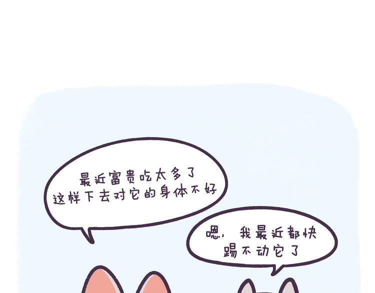 滾開，我要先萌一會兒！ - 第53話 到底有多長 - 2