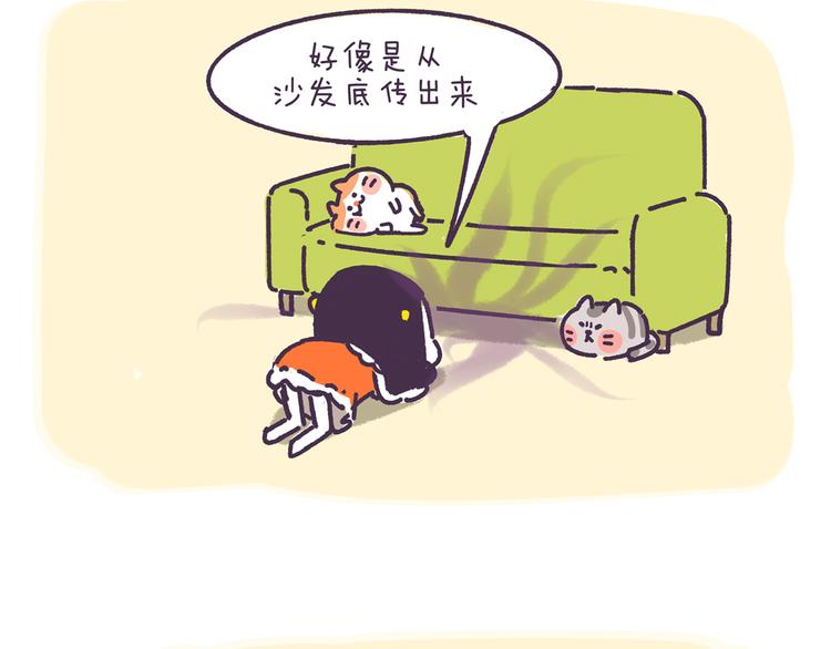 第9话 铲屎官必备神技能-第9话