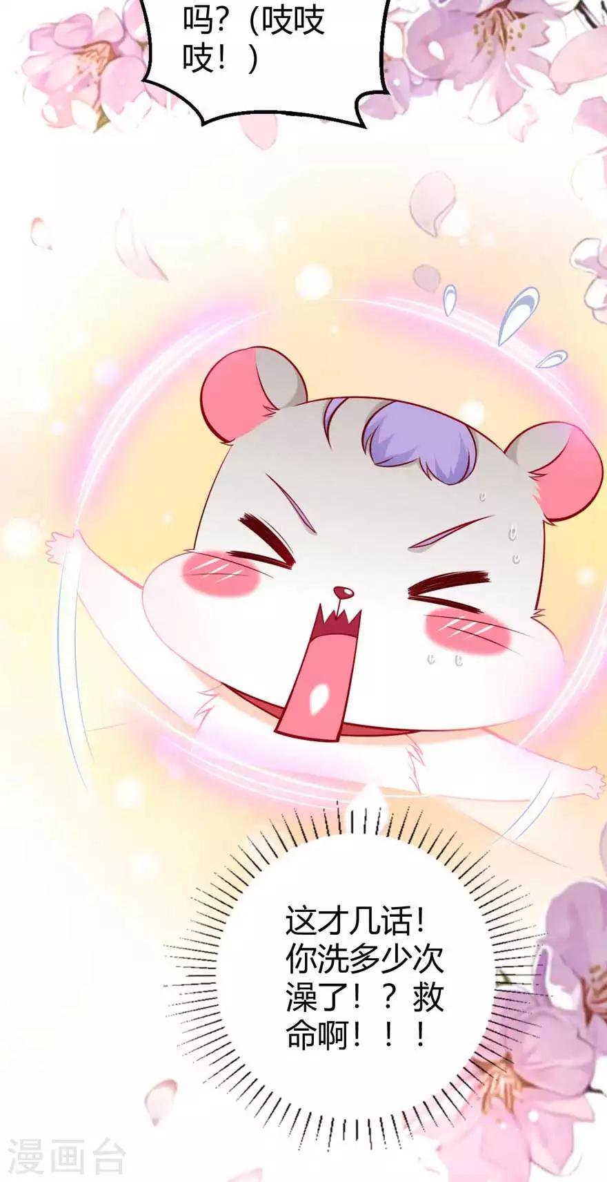 第15话 洗白白-第17话