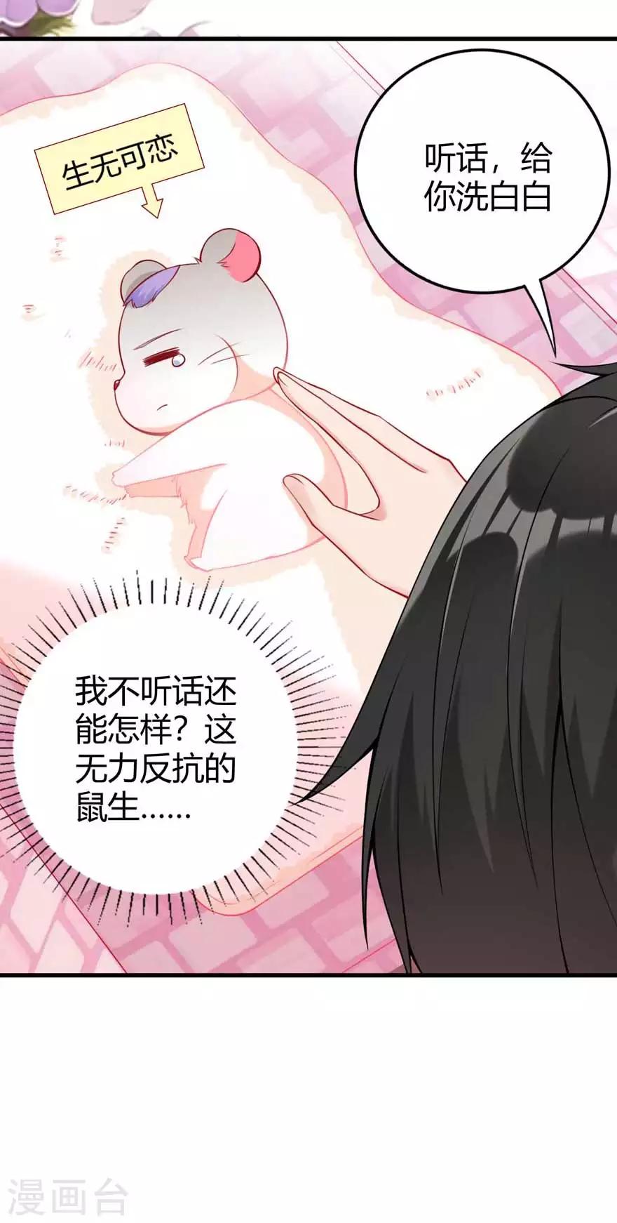第15话 洗白白-第17话