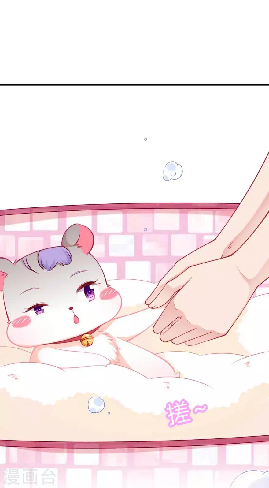 第15话 洗白白-第17话