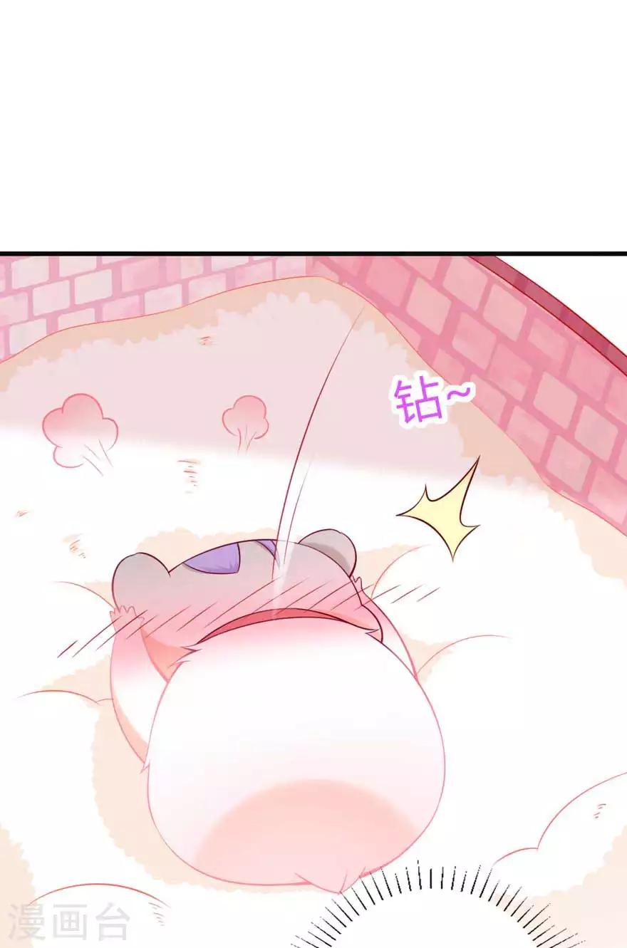 第15话 洗白白-第17话