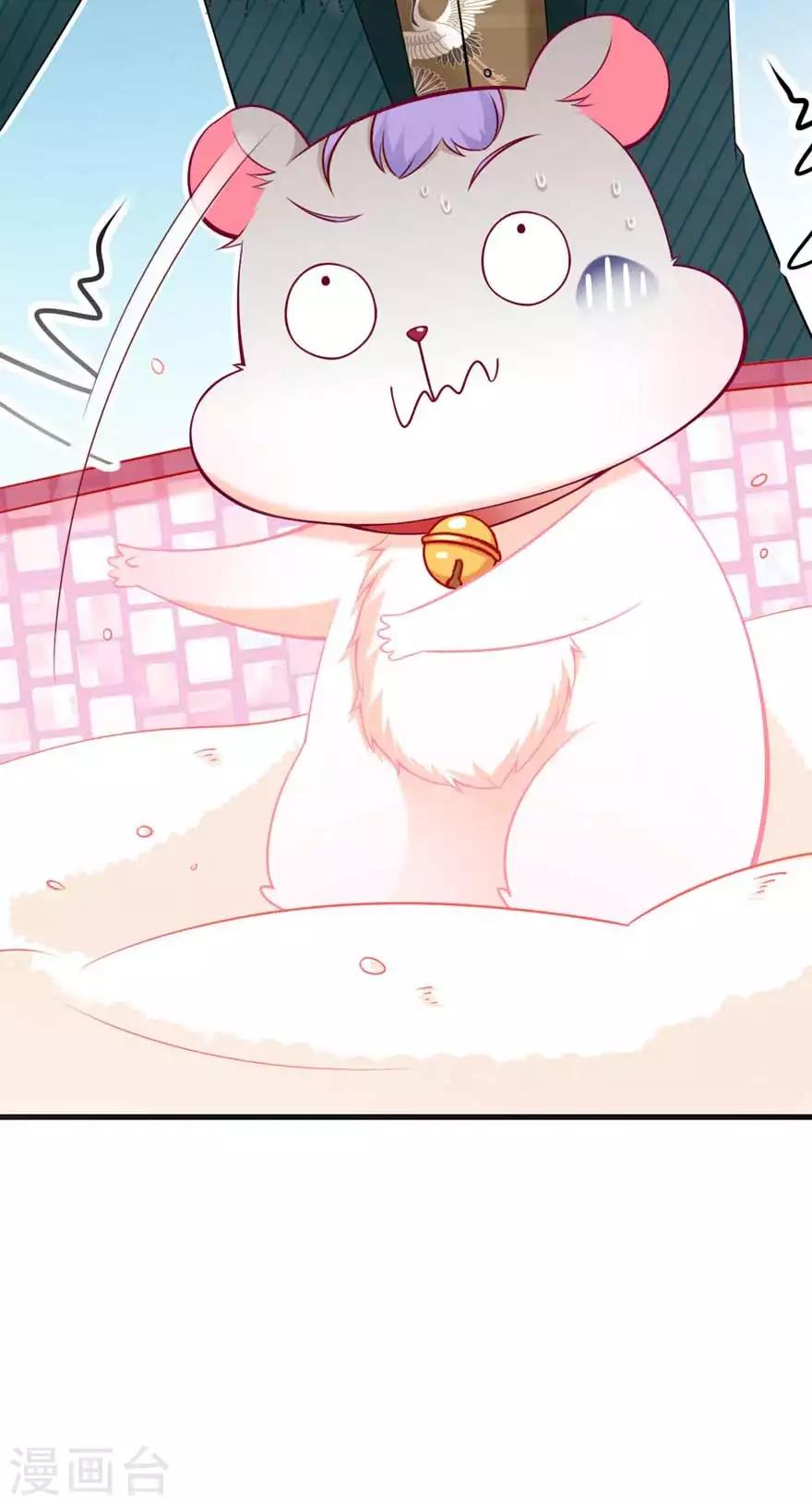 第15话 洗白白-第17话