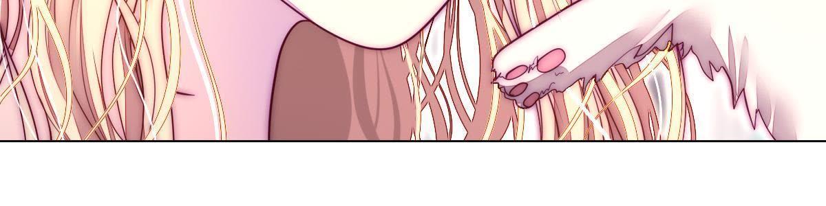 第36话：这就是传说中的喵喵？(1/2)-第37话