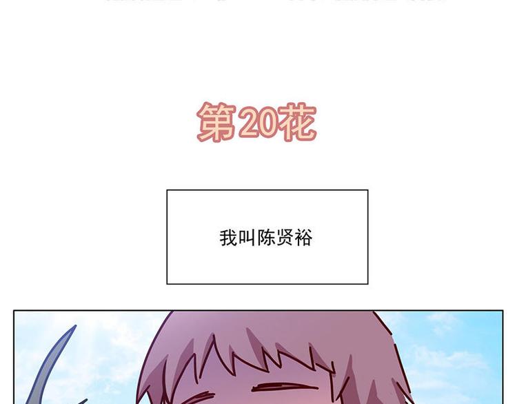 第20花-第21话