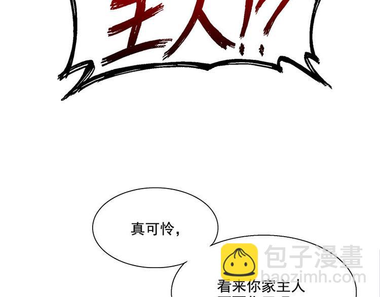 第54花 噢啦噢啦花(1/2)-第49话