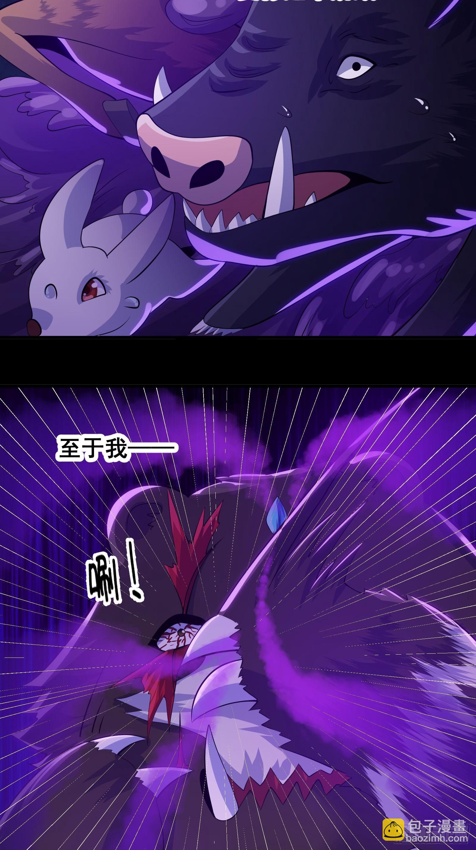 010 这熊是有故事的-第11话