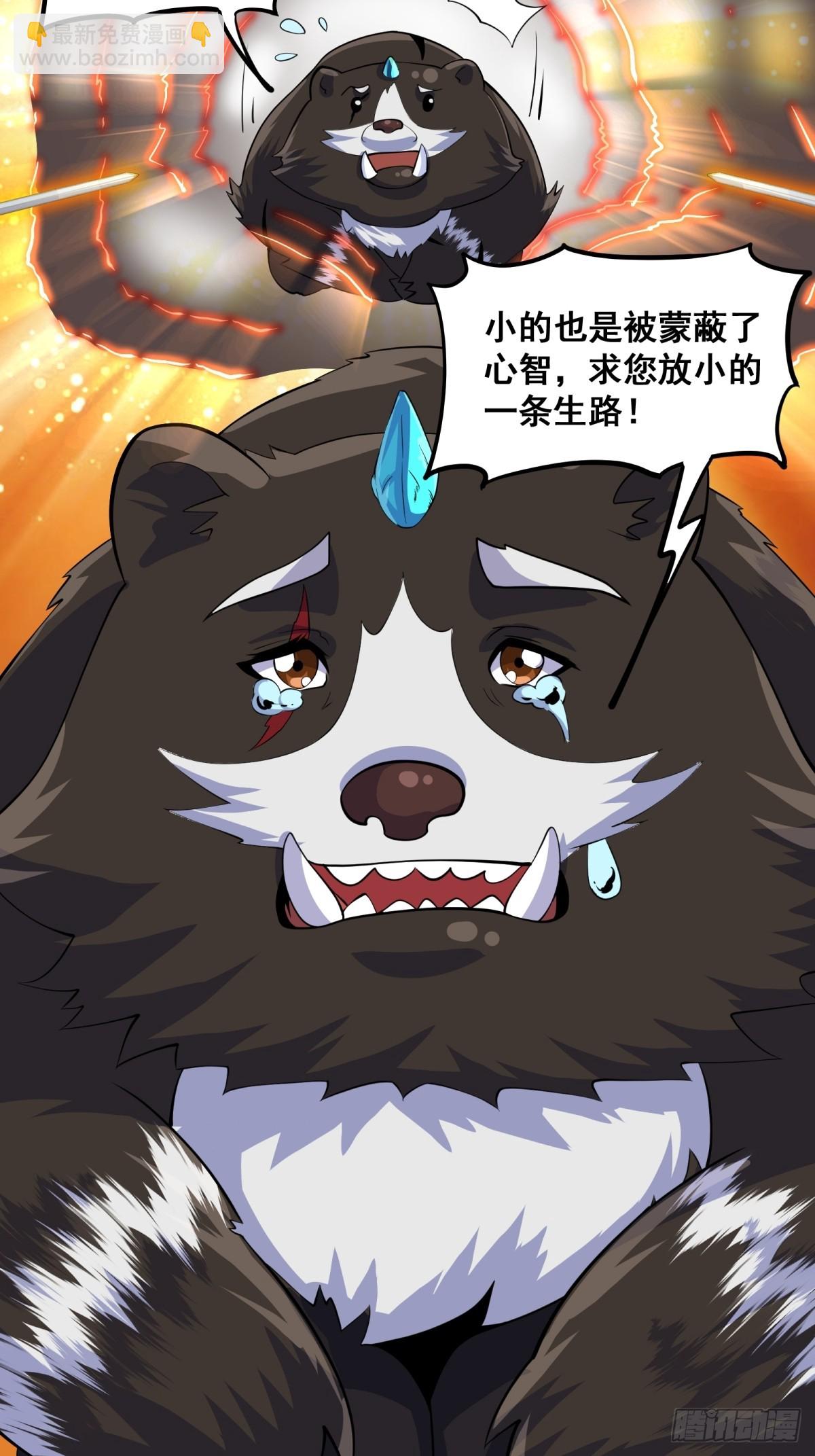 010 这熊是有故事的-第11话