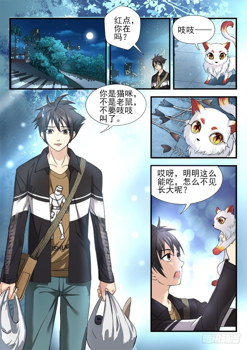 第六集 神秘的猫-第7话