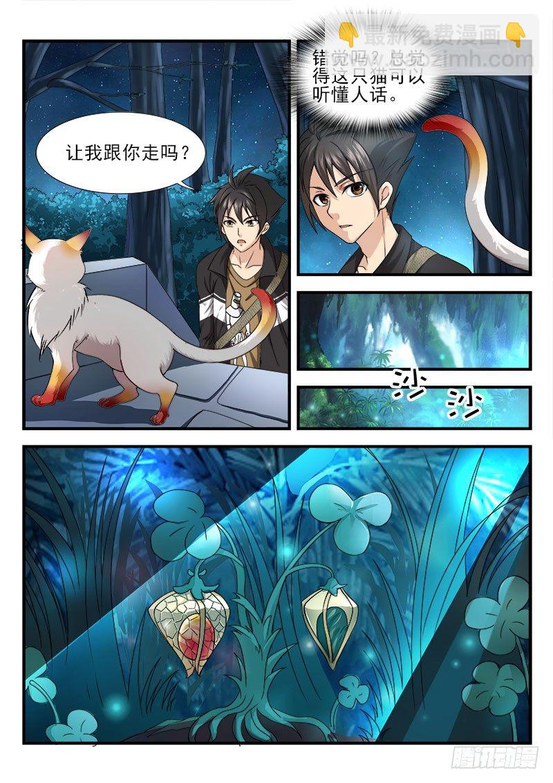 第六集 神秘的猫-第7话