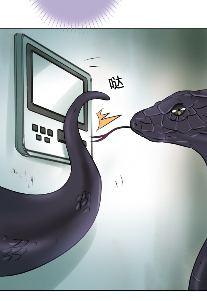 第三十六回 下-第65话