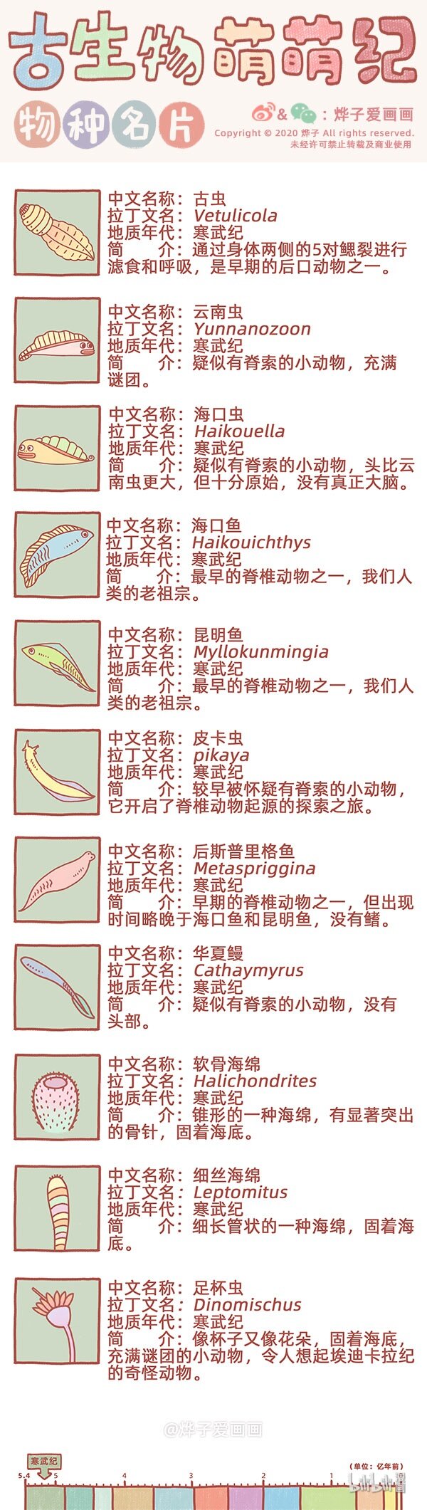 物种名片 寒武纪3-第35话