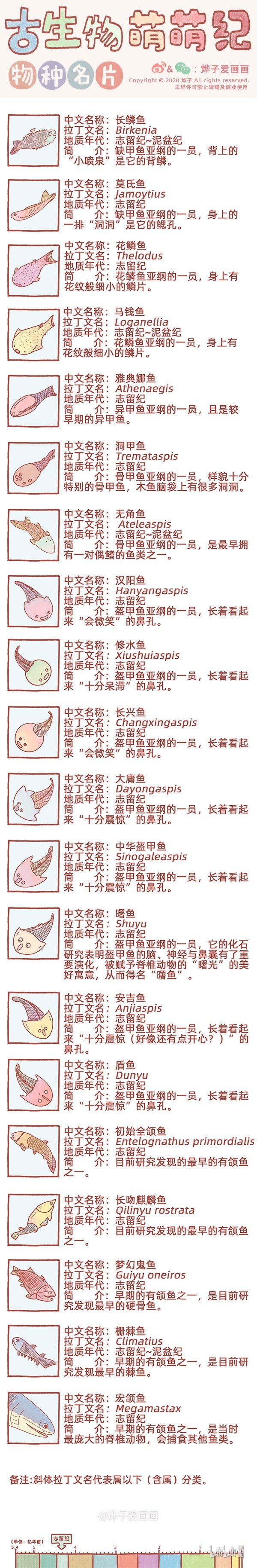 古生物萌萌紀（科普篇） - 物種名片 志留紀1 - 1