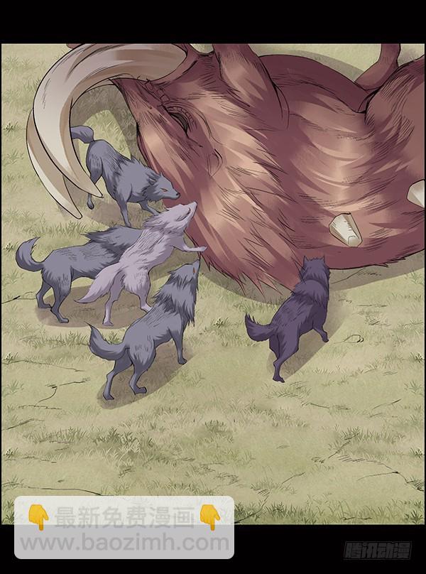 猪的队友-第81话